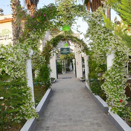 Отель Dream Of 3*