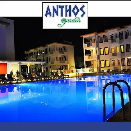 Hotel Dream Of 3*