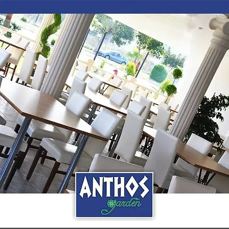 Отель Dream Of Сиде