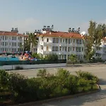 Dream Of 3*